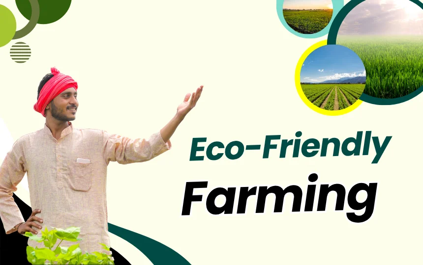 Eco-Friendly Farming
